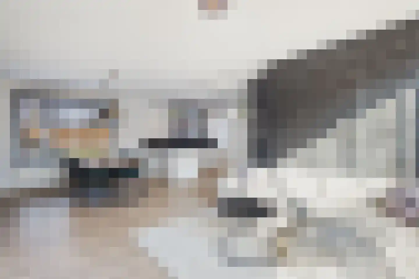's-Gravenstraat 242 Clinge thumbnail 9