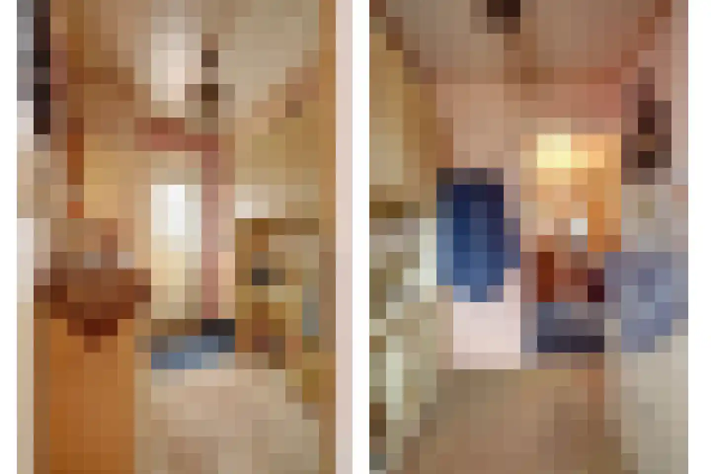 's-Gravenstraat 259 Clinge thumbnail 12