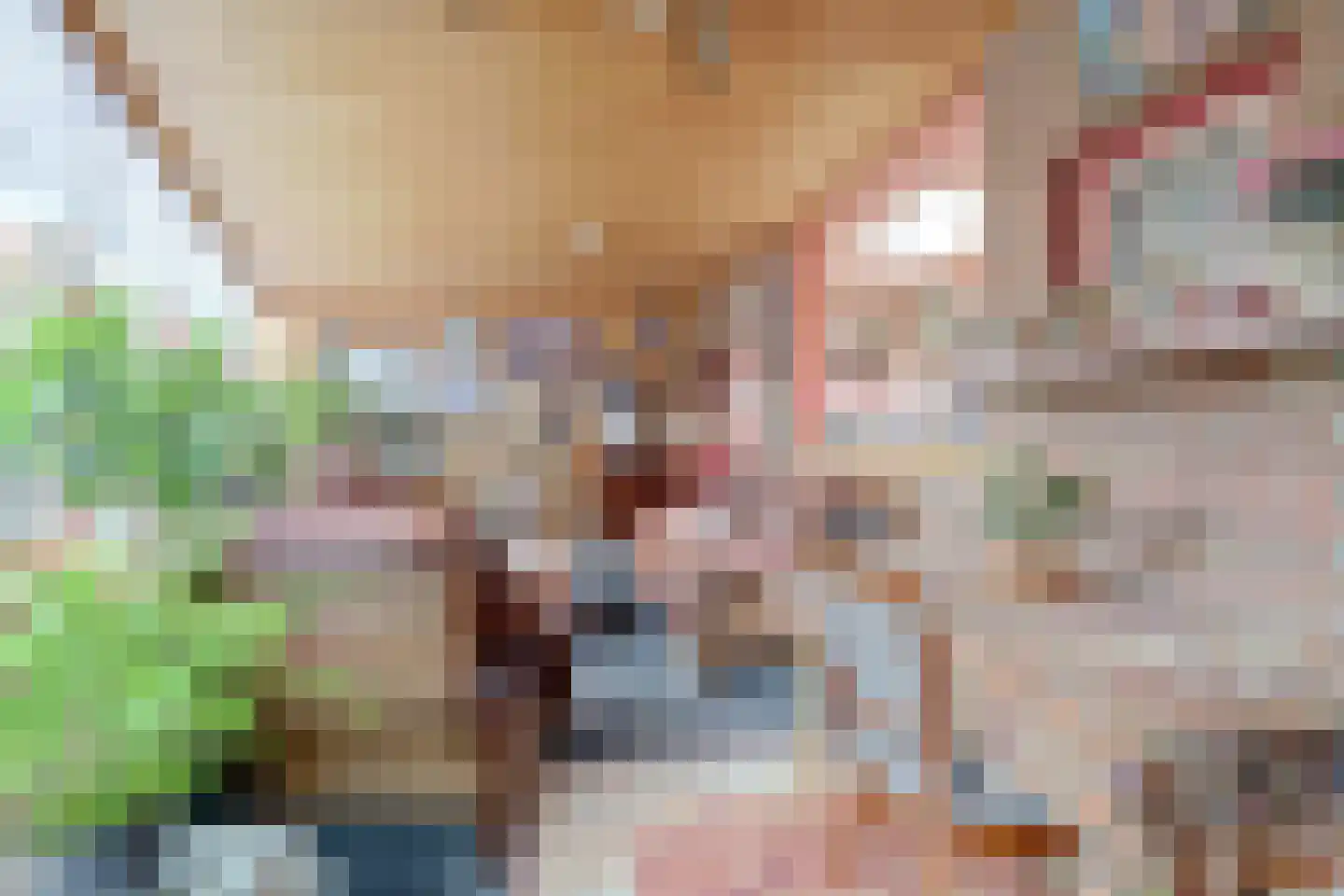 's-Gravenstraat 259 Clinge thumbnail 24