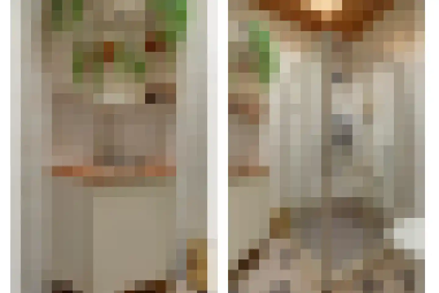 's-Gravenstraat 259 Clinge thumbnail 28