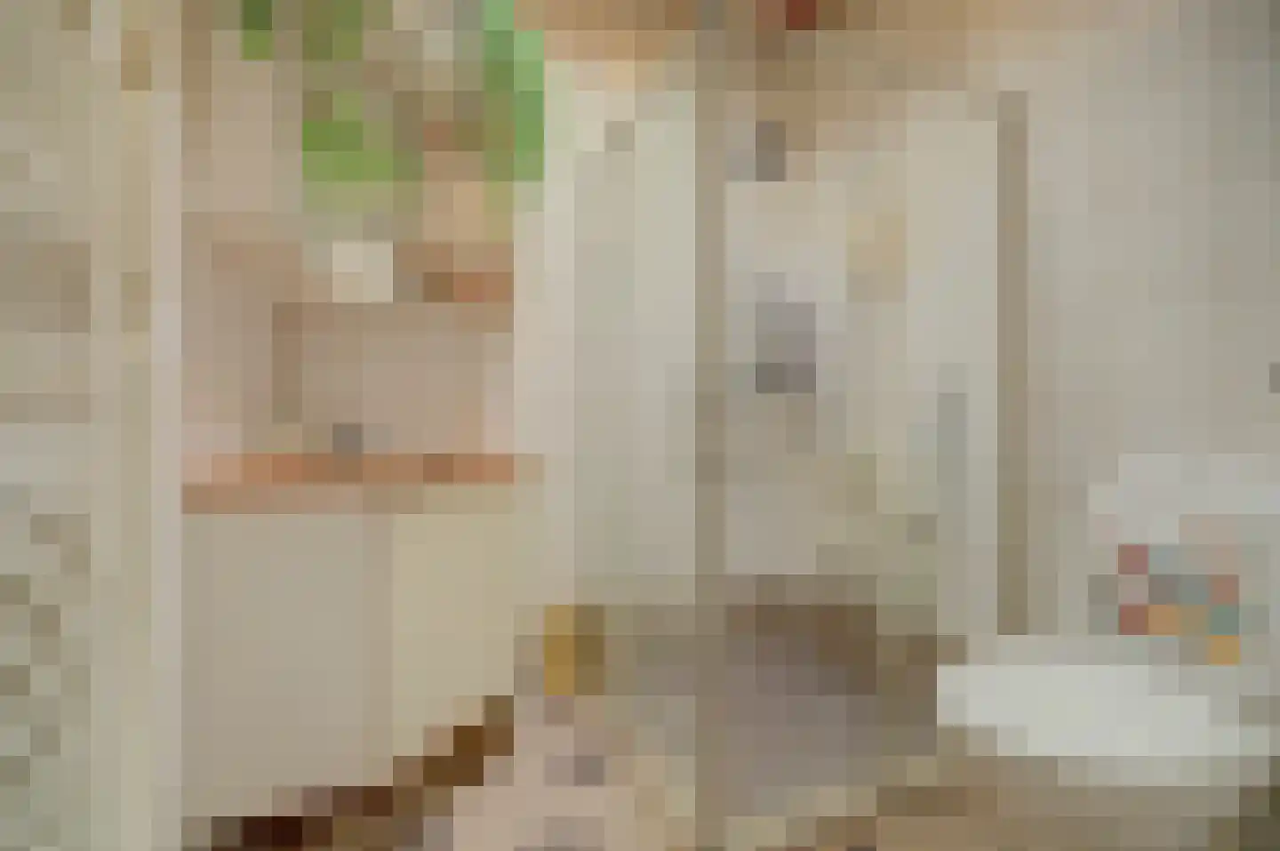 's-Gravenstraat 259 Clinge thumbnail 29