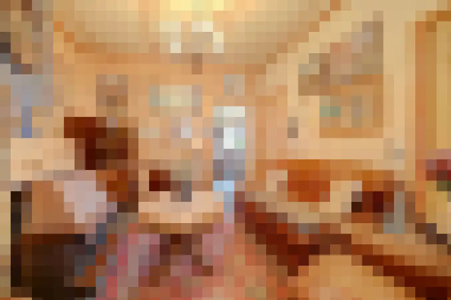 's-Gravenstraat 259 Clinge foto 3