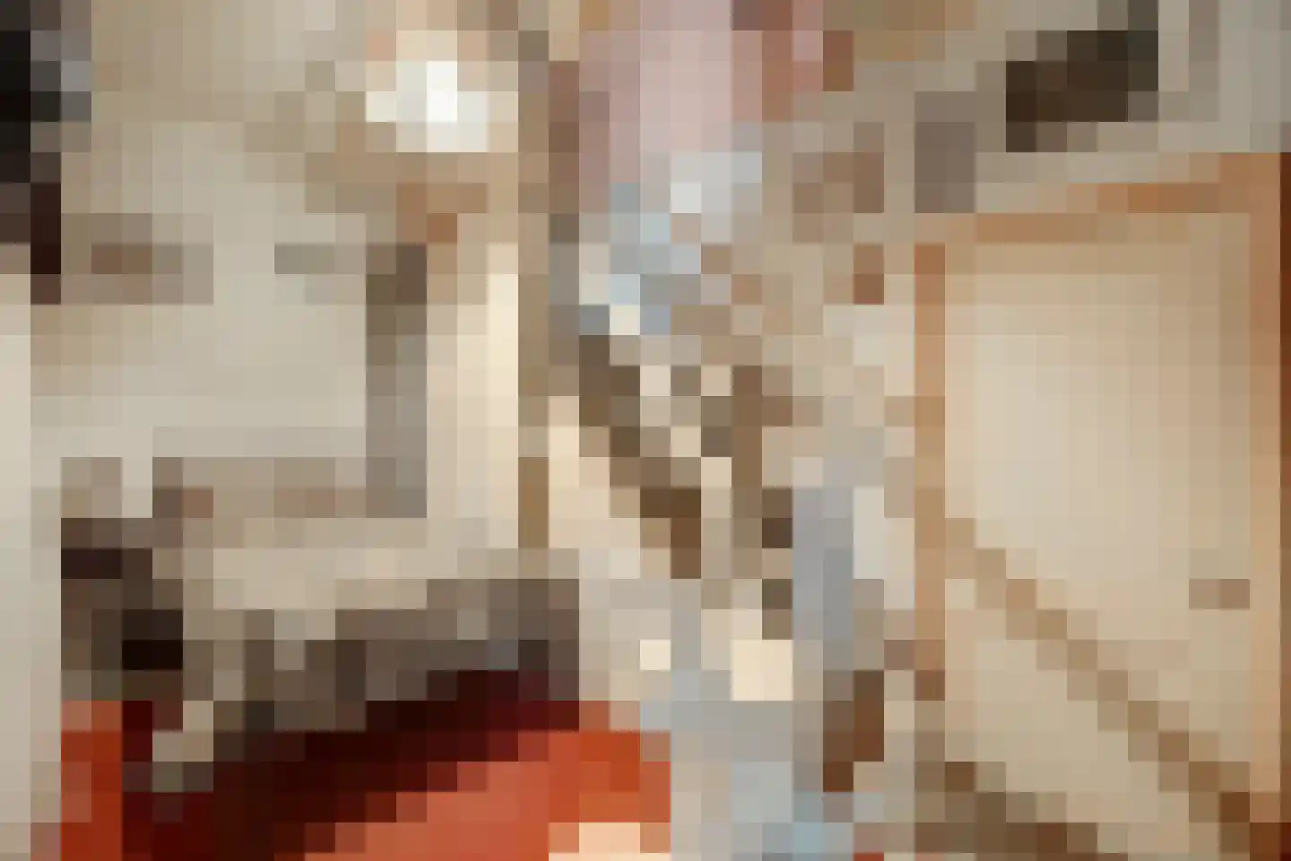 's-Gravenstraat 259 Clinge thumbnail 33