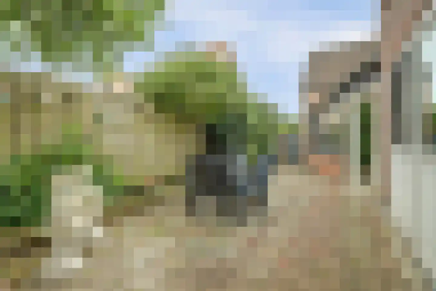 's-Gravenstraat 259 Clinge thumbnail 41