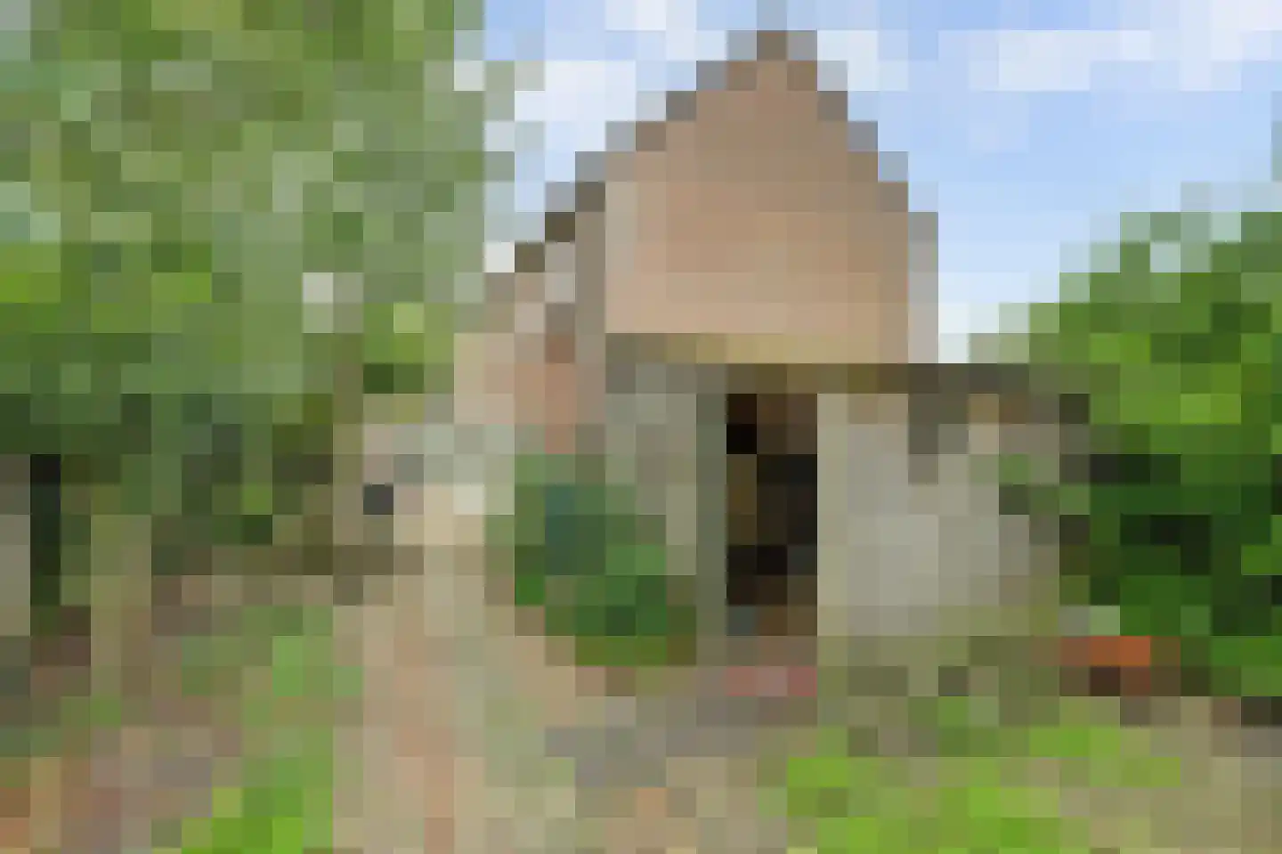 's-Gravenstraat 259 Clinge thumbnail 42
