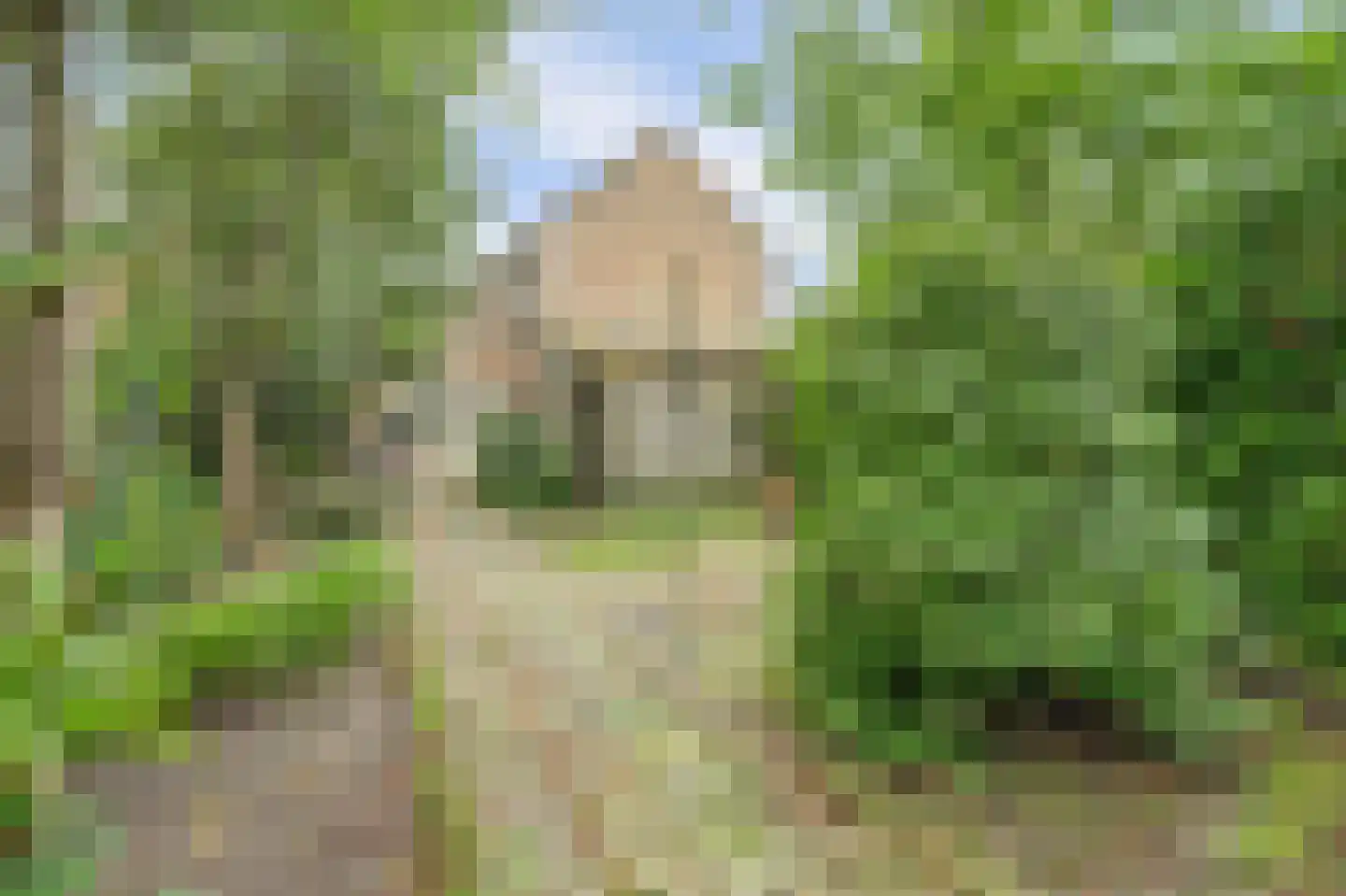 's-Gravenstraat 259 Clinge thumbnail 45