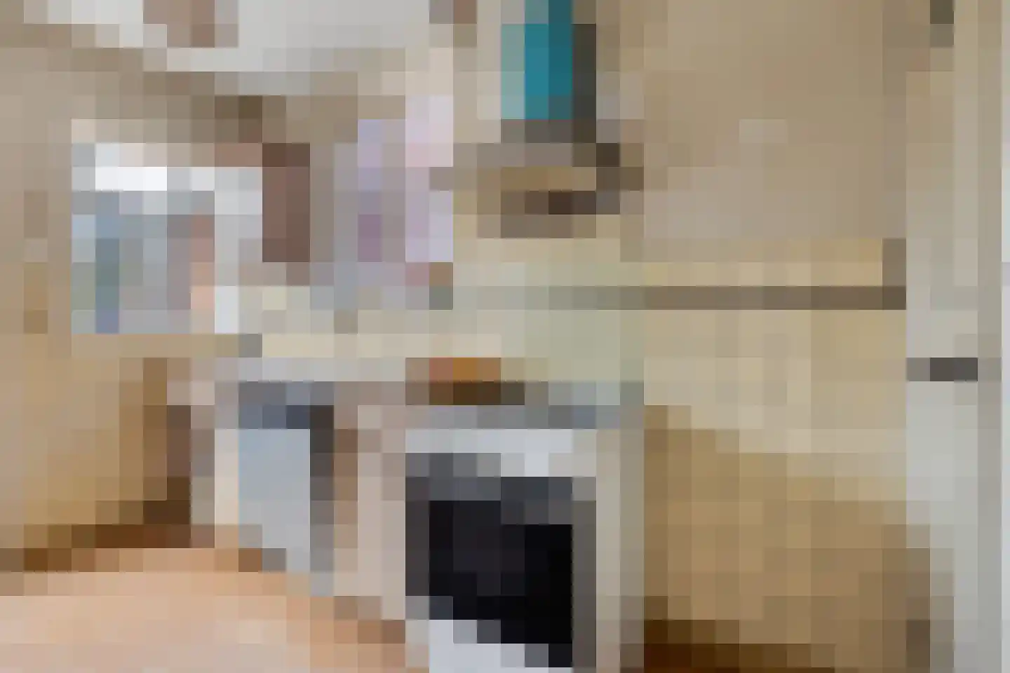 's-Gravenstraat 292 Clinge thumbnail 16