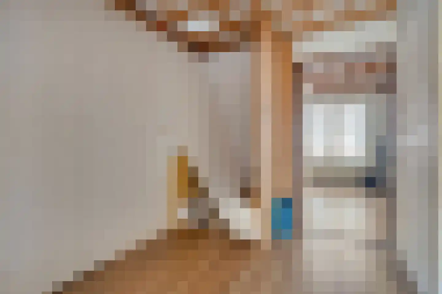 's-Gravenstraat 292 Clinge thumbnail 20