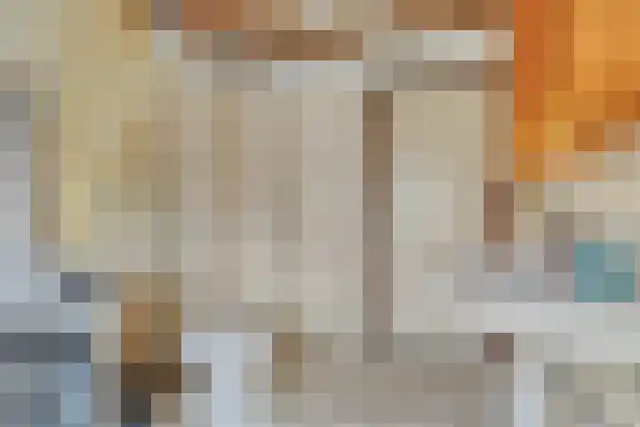 's-Gravenstraat 292 Clinge thumbnail 21