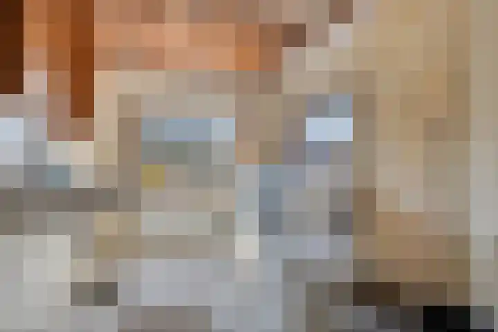 's-Gravenstraat 292 Clinge thumbnail 22