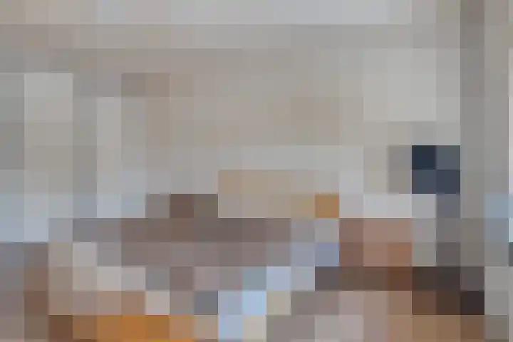 's-Gravenstraat 292 Clinge thumbnail 25
