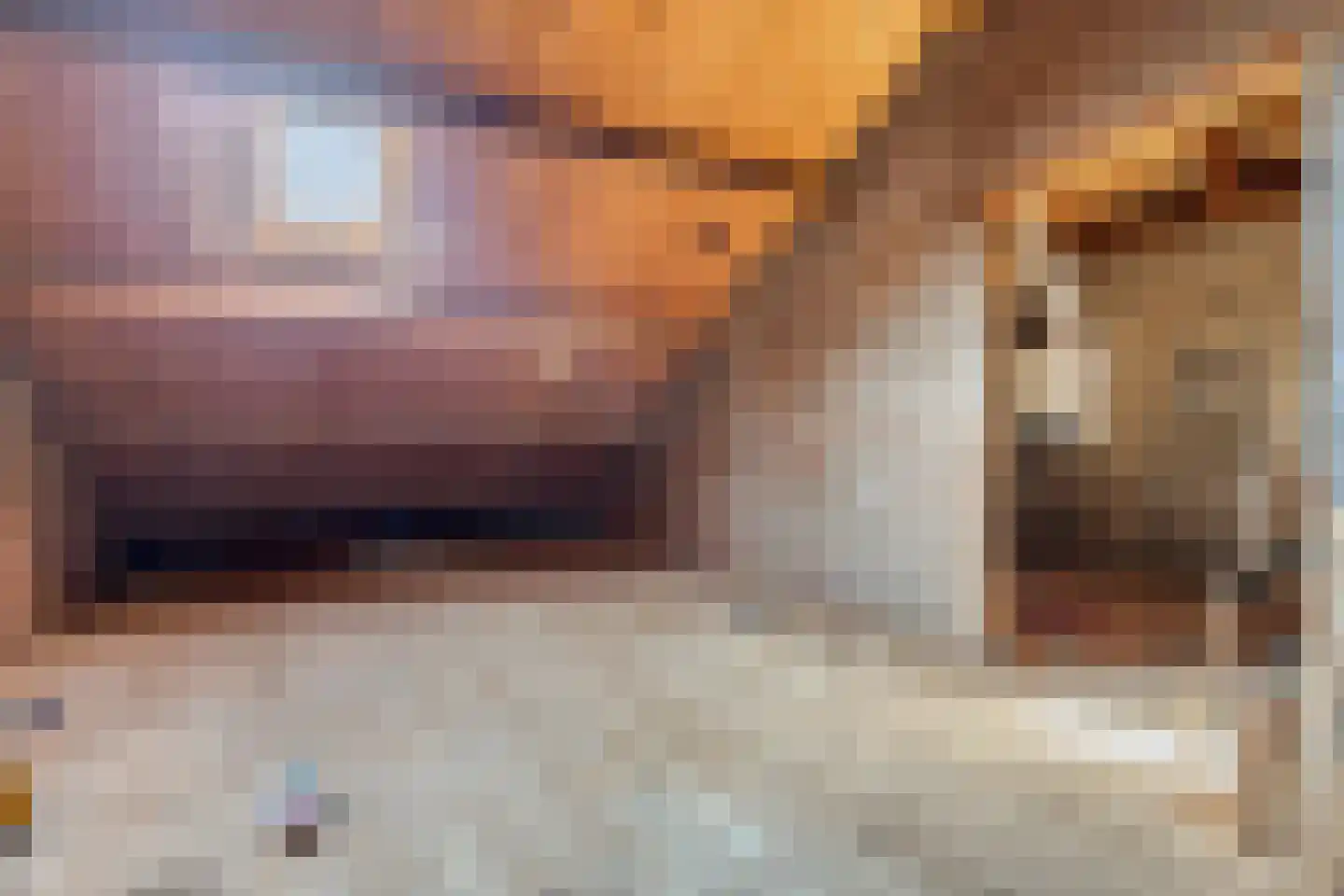 's-Gravenstraat 292 Clinge thumbnail 29