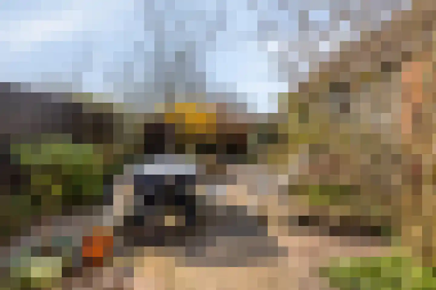 's-Gravenstraat 292 Clinge thumbnail 30