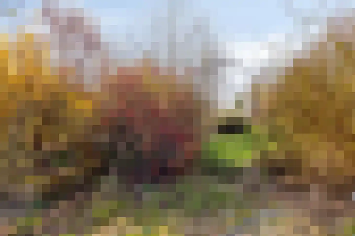 's-Gravenstraat 292 Clinge thumbnail 32