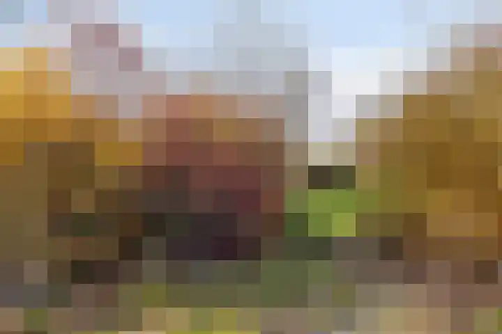's-Gravenstraat 292 Clinge thumbnail 32