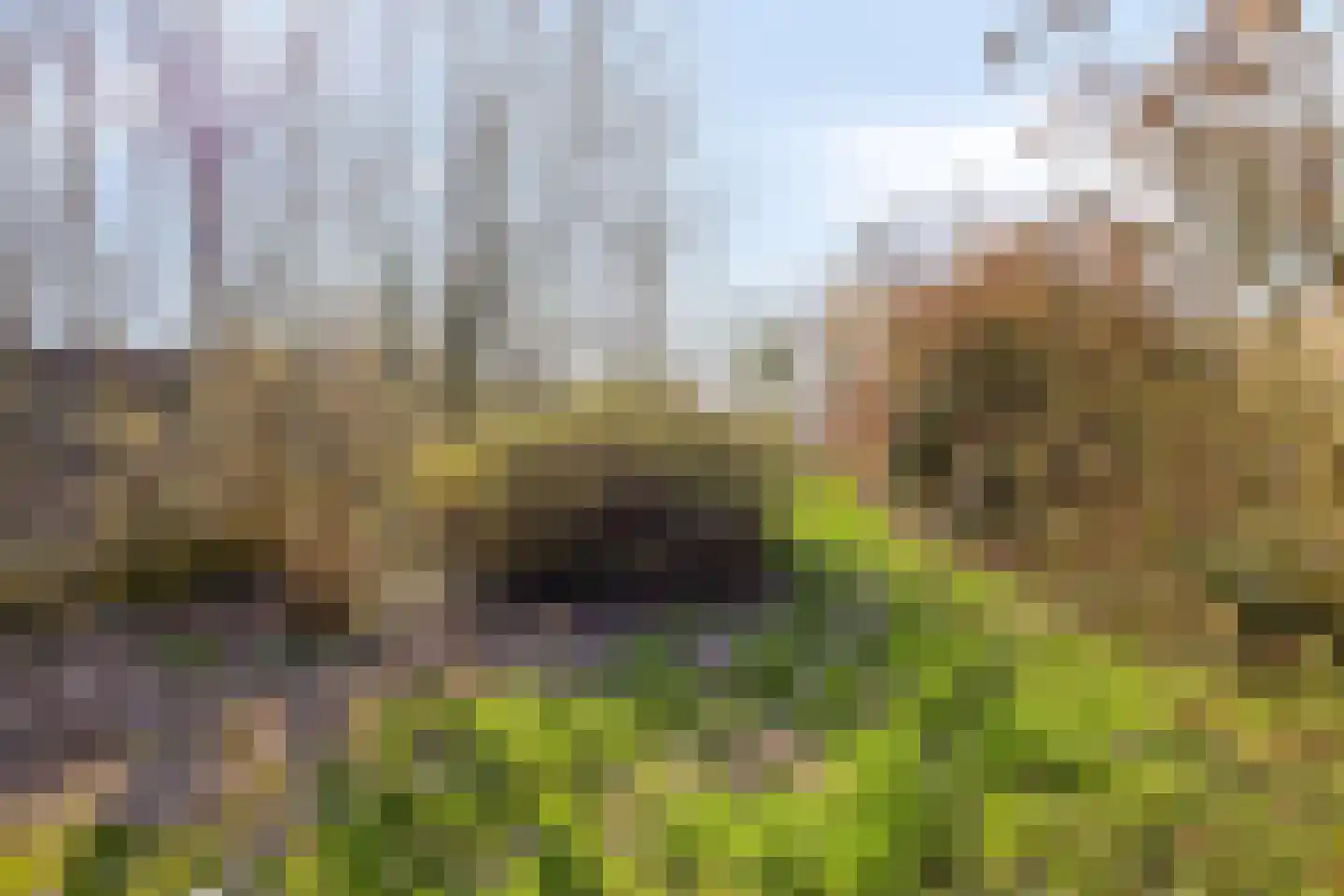 's-Gravenstraat 292 Clinge thumbnail 34