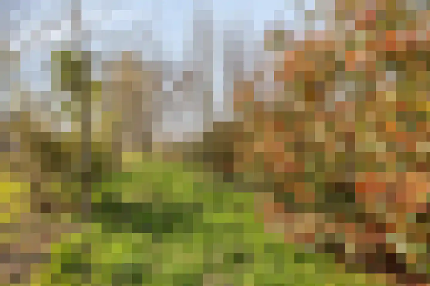 's-Gravenstraat 292 Clinge thumbnail 35