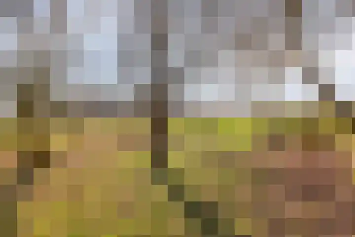 's-Gravenstraat 292 Clinge thumbnail 36