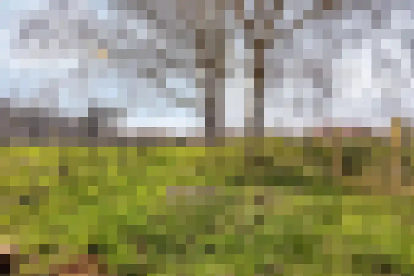 's-Gravenstraat 292 Clinge thumbnail 37