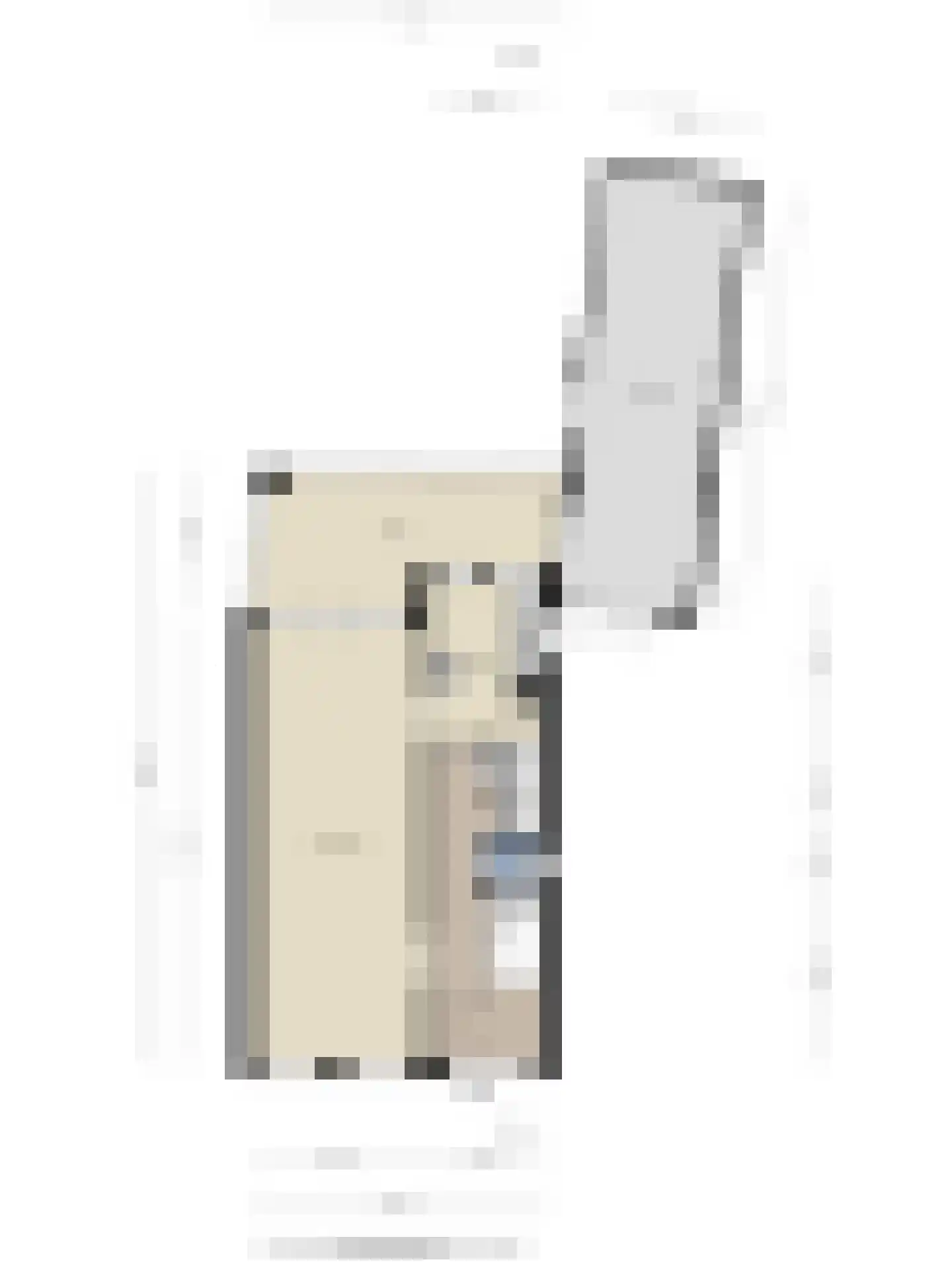 's-Gravenstraat 292 Clinge thumbnail 38