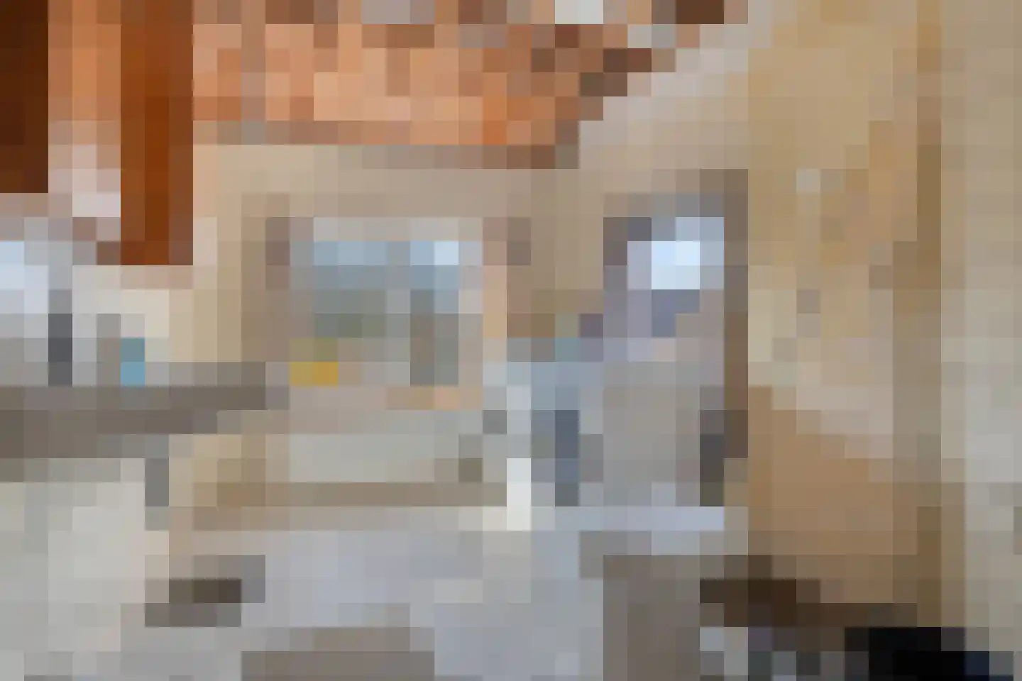 's-Gravenstraat 292 Clinge thumbnail 4