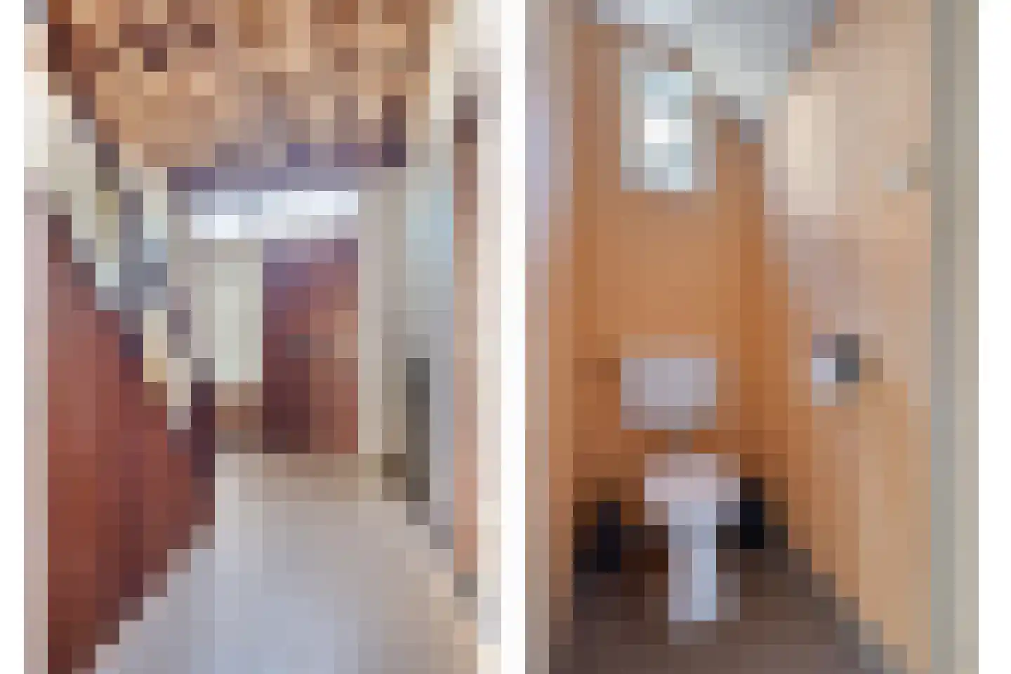 's-Gravenstraat 292 Clinge thumbnail 8