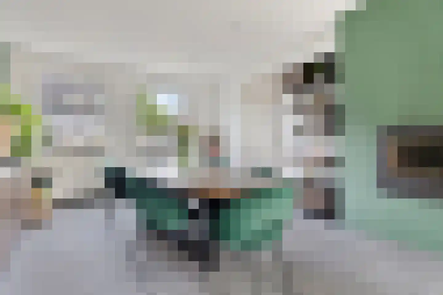 's-Gravenstraat 326 Clinge thumbnail 11