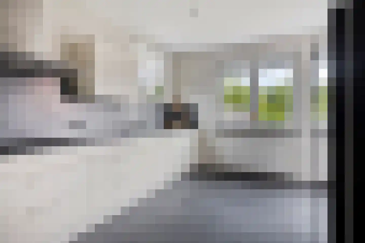's-Gravenstraat 326 Clinge thumbnail 15
