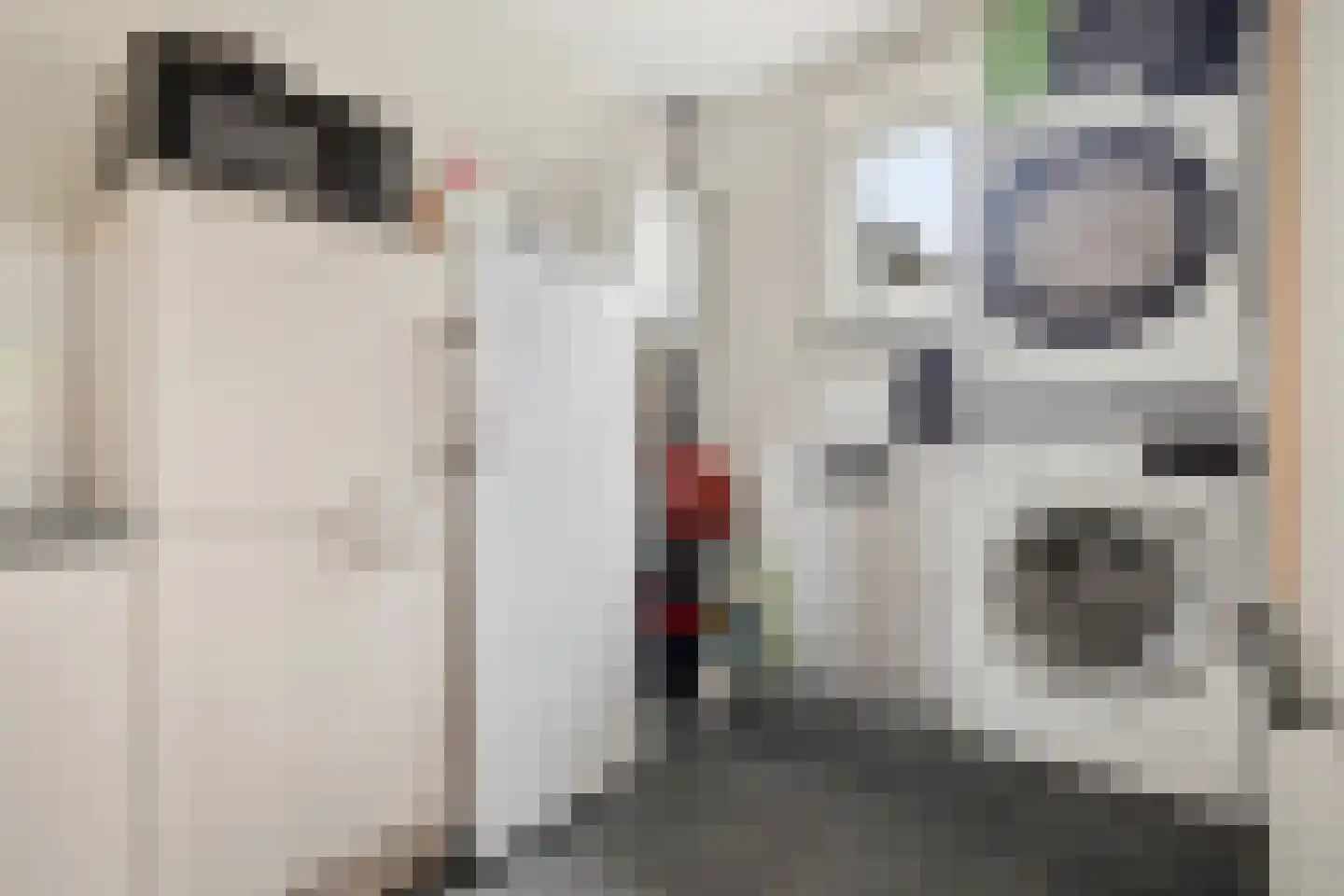 's-Gravenstraat 326 Clinge thumbnail 18