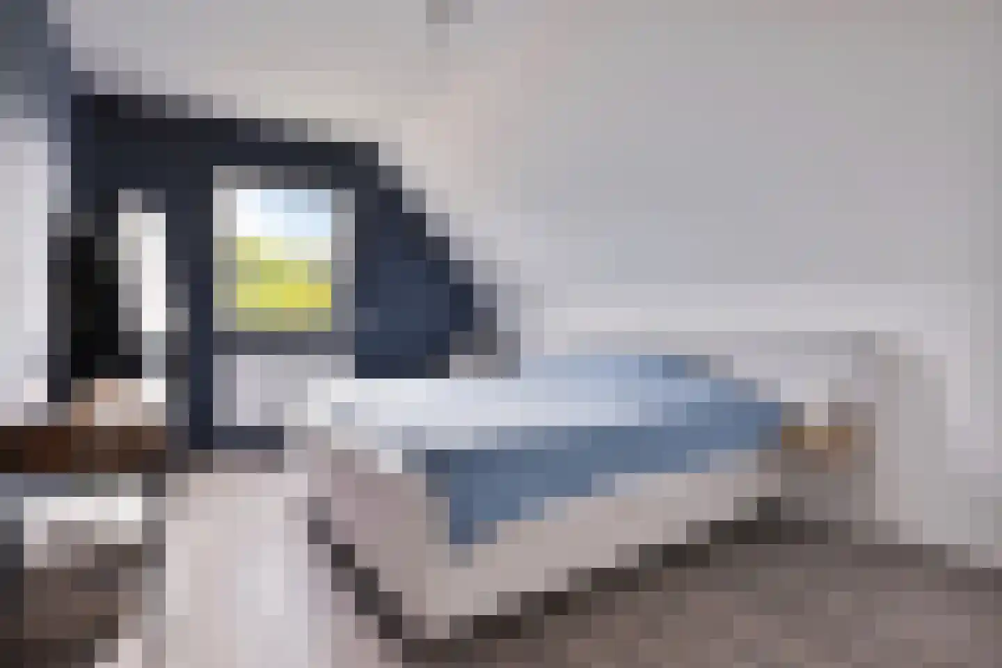 's-Gravenstraat 326 Clinge thumbnail 20