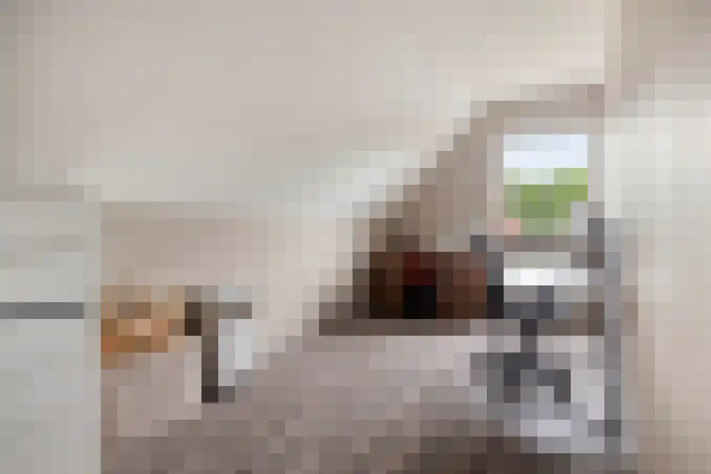 's-Gravenstraat 326 Clinge thumbnail 22