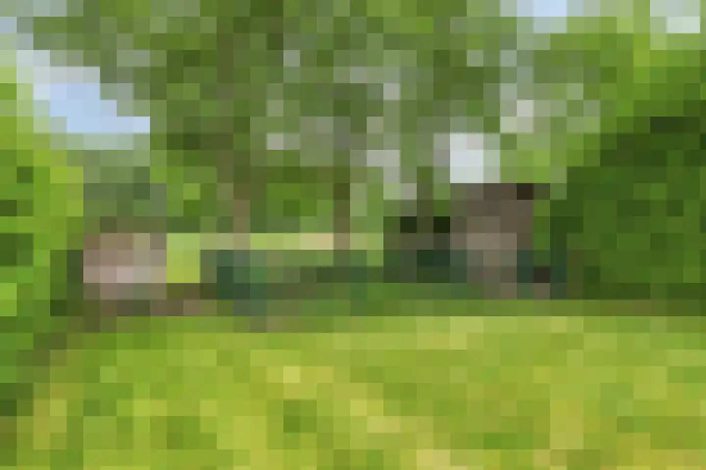 's-Gravenstraat 326 Clinge thumbnail 35