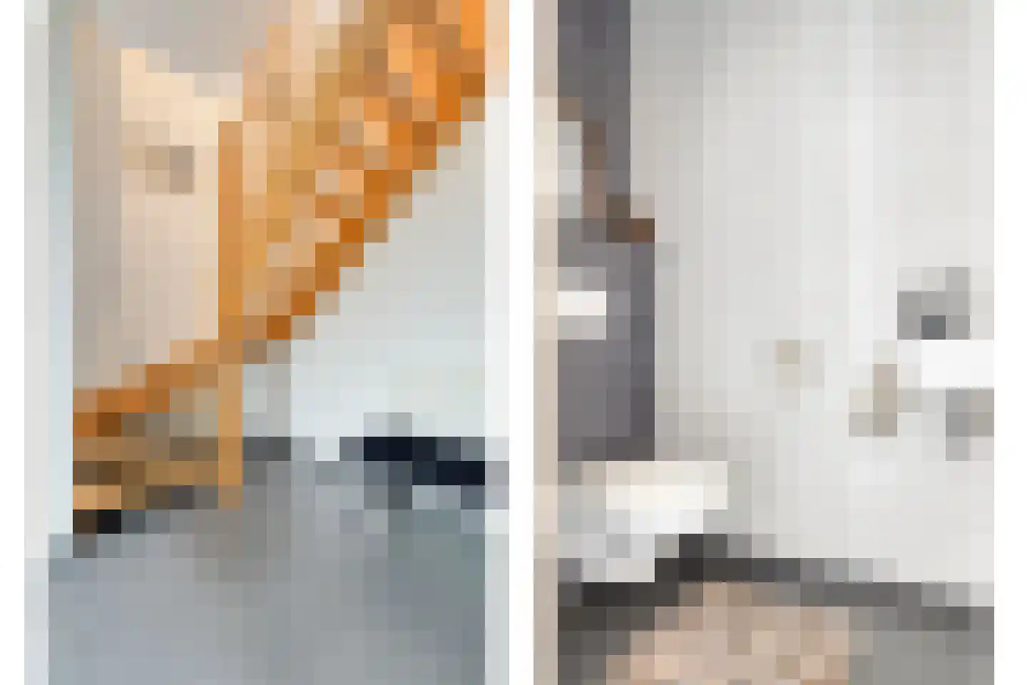 's-Gravenstraat 326 Clinge thumbnail 6