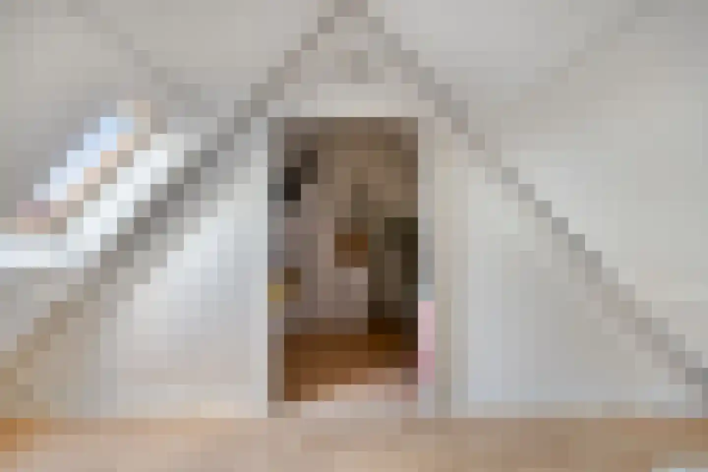 's-Gravenstraat 35 's-Gravenpolder thumbnail 38