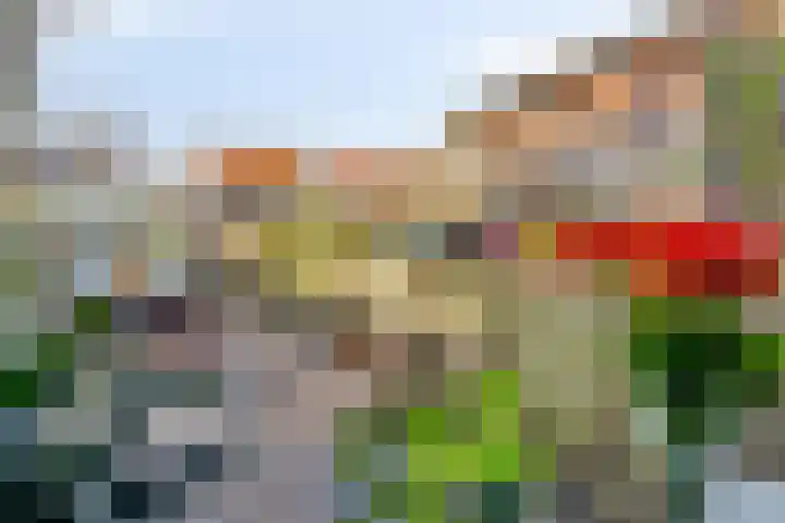 's-Gravenstraat 35 's-Gravenpolder thumbnail 41