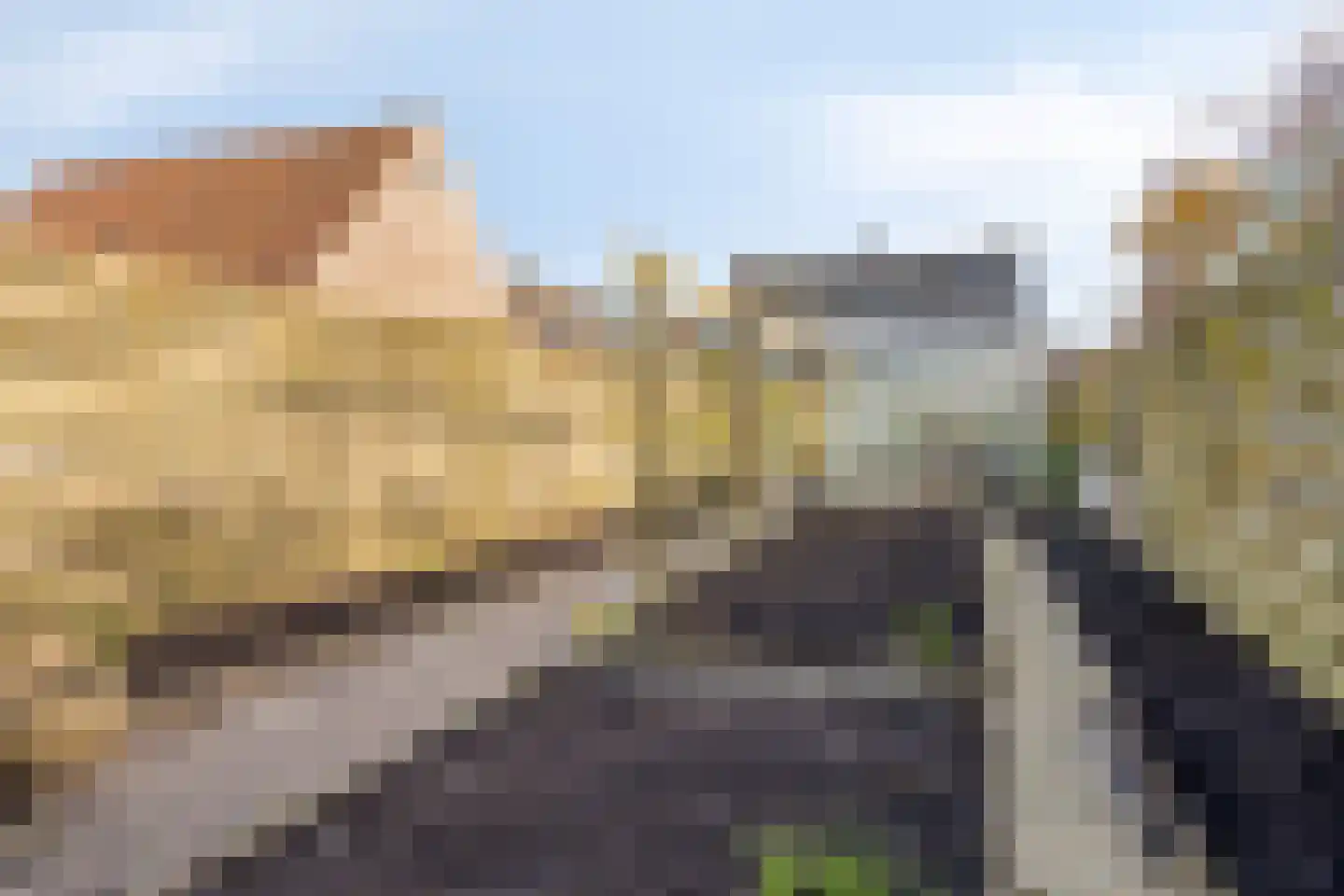 's-Gravenstraat 35 's-Gravenpolder thumbnail 48