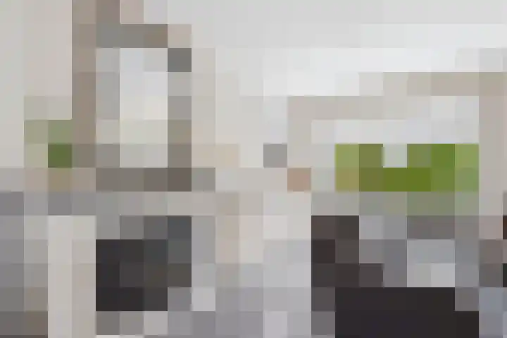 's-Gravenstraat 4 Clinge thumbnail 12