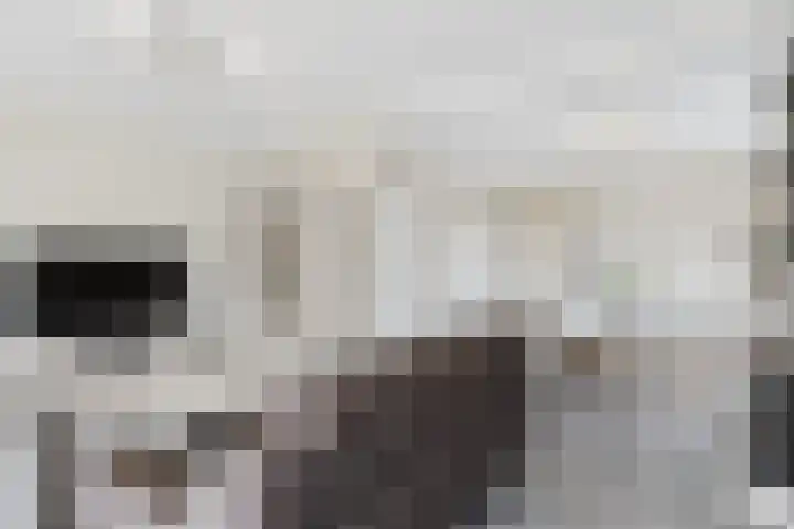 's-Gravenstraat 4 Clinge thumbnail 14