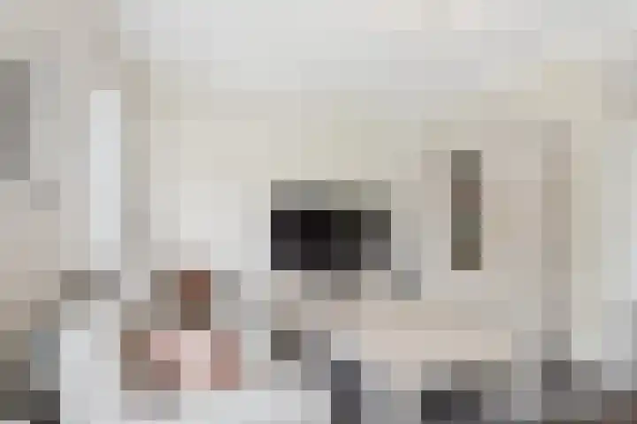 's-Gravenstraat 4 Clinge thumbnail 16
