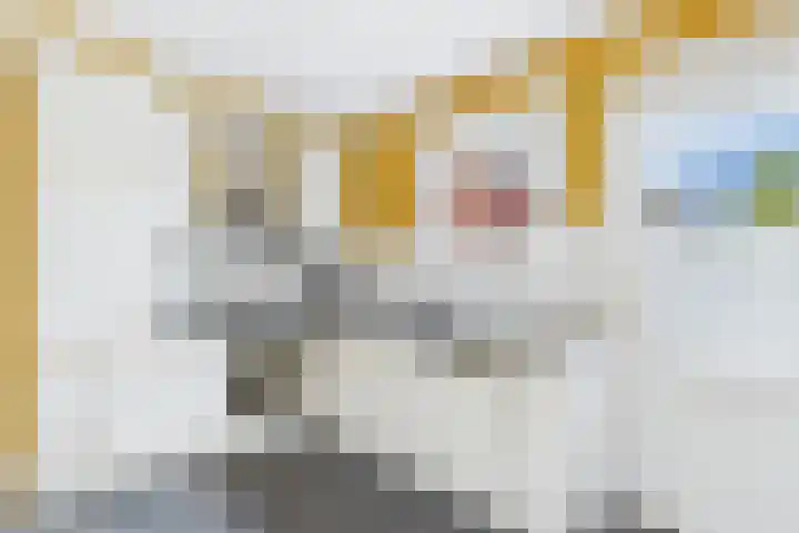 's-Gravenstraat 4 Clinge thumbnail 18
