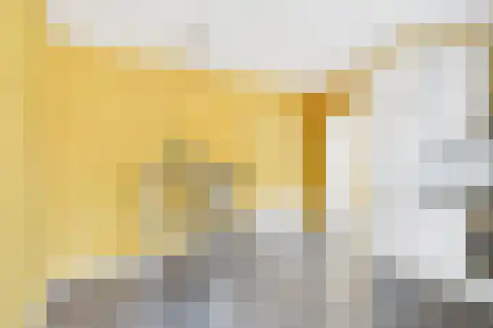 's-Gravenstraat 4 Clinge thumbnail 22