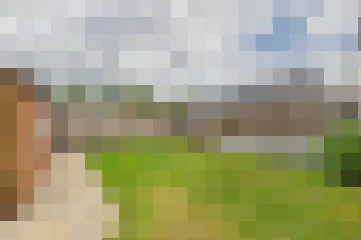 's-Gravenstraat 4 Clinge thumbnail 36