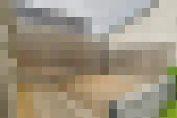 's-Gravenstraat 4 Clinge thumbnail 37