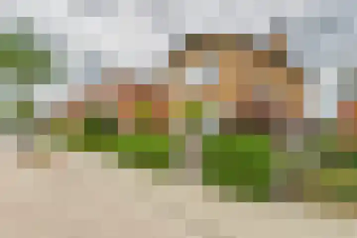 's-Gravenstraat 4 Clinge thumbnail 38