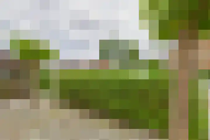 's-Gravenstraat 4 Clinge thumbnail 40