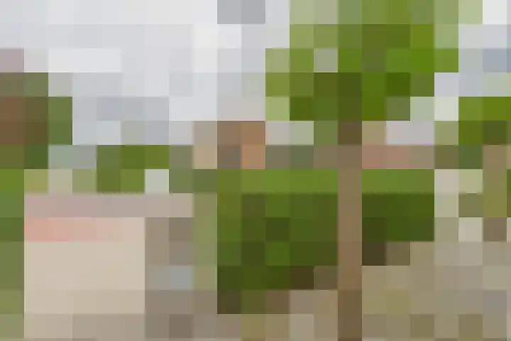 's-Gravenstraat 4 Clinge thumbnail 41