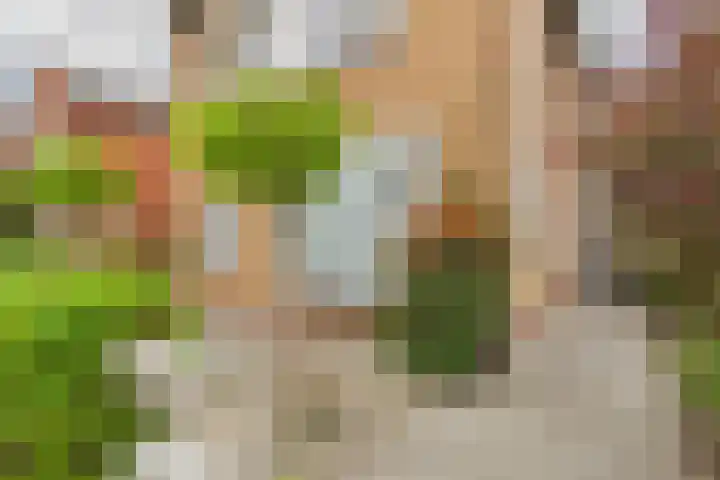 's-Gravenstraat 4 Clinge thumbnail 7