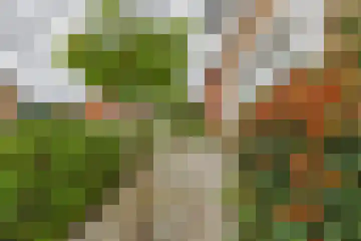 's-Gravenstraat 4 Clinge thumbnail 8