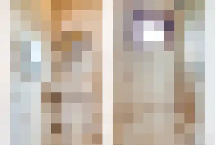 's-Gravenstraat 40 Clinge thumbnail 11