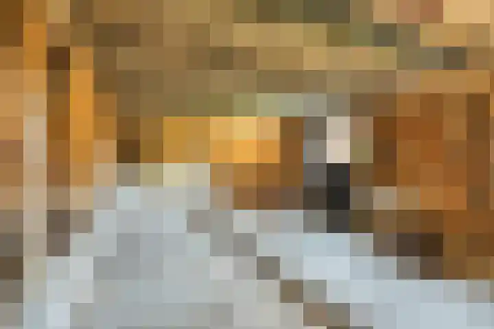 's-Gravenstraat 40 Clinge thumbnail 26